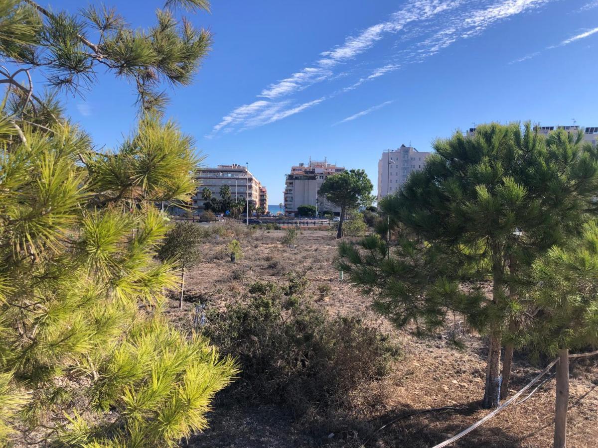 Amplio Apartamento Playa La Mata  Dış mekan fotoğraf